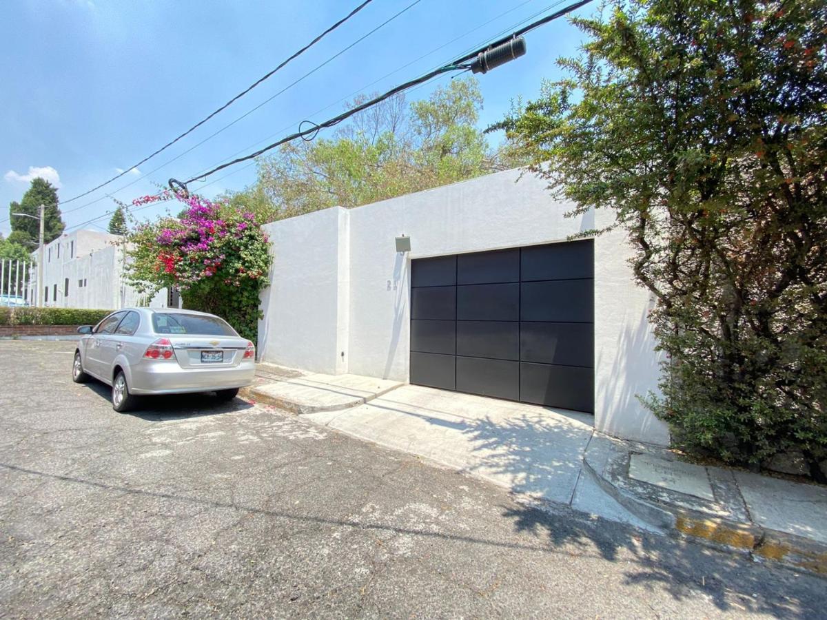 Casa Bonsai Bed & Breakfast Mexico City Exterior photo